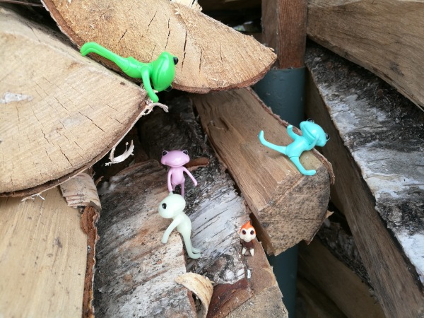 Добро пожаловать в удивительный мир Ванды