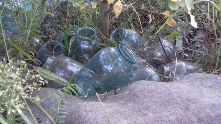 Сельская Санта-Барбара (Кирпич) (фото 8)