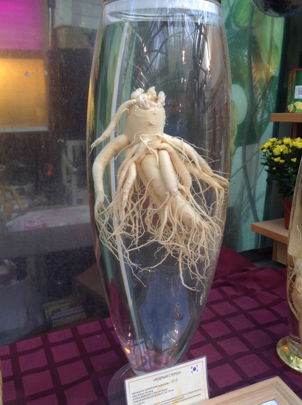 Аптекарский огород сегодня. ч.5. Грибной фестиваль