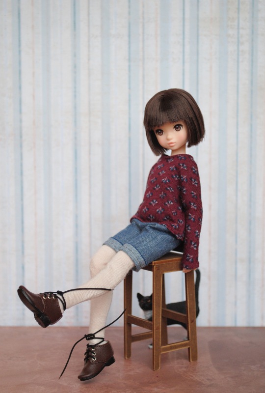 Девочки и их приключения или Ruruko от Petworks | Бэйбики Девочки и их приключения или Ruruko от Petworks