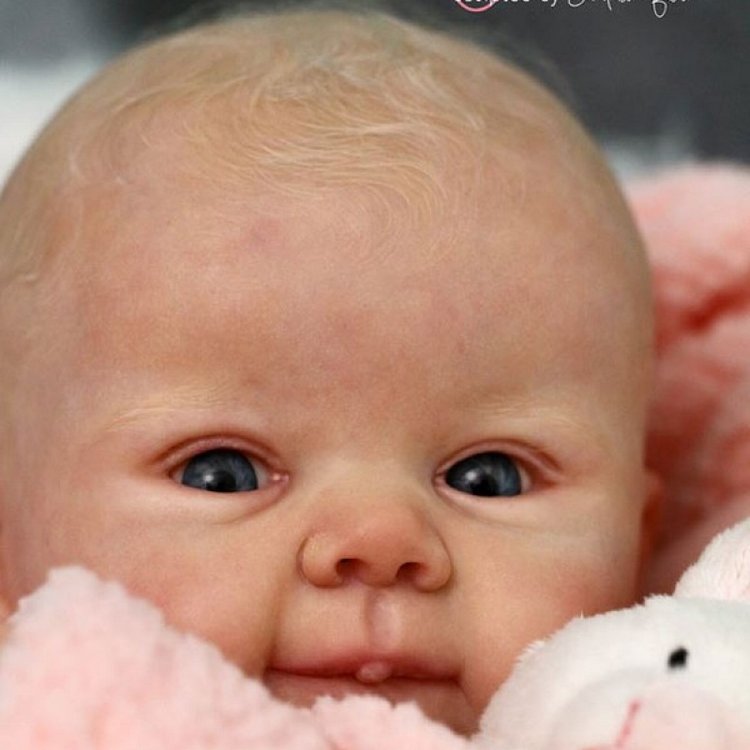 Молд Juliette Скульптор Sandy Faber (фото 9)