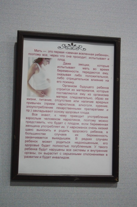 Псков: Петербургская Кунсткамера у нас в гостях. СТРОГО 18 +