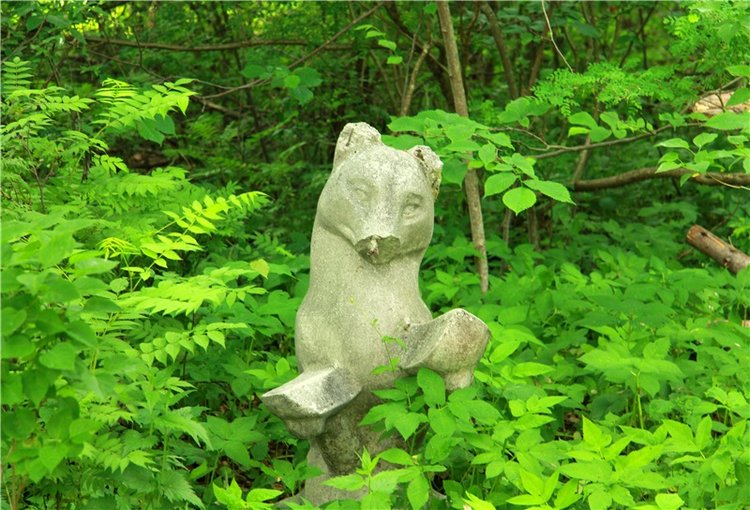 Путешествие с Бенни — Культура