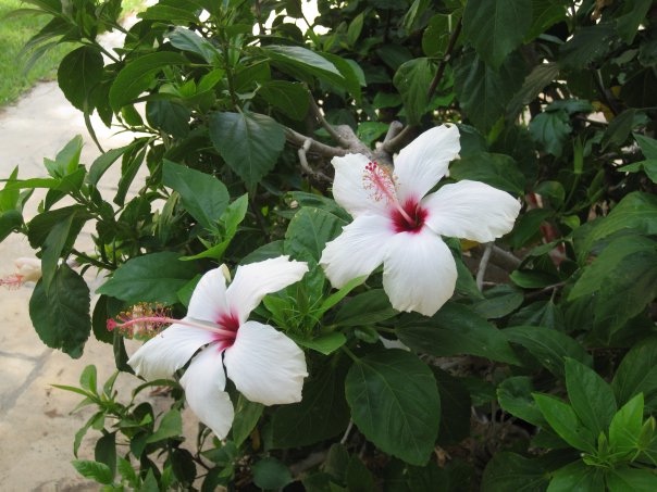 Путешествие на о. Кипр — Туризм и путешествия: фотоотчеты из поездок