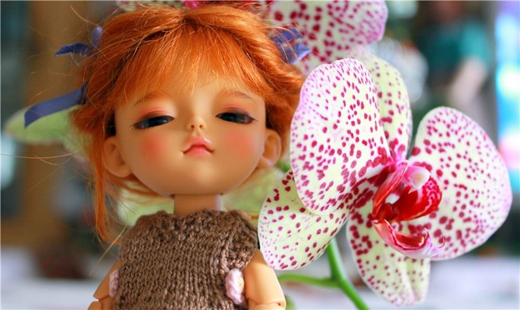 Софи. Lati HoneyBee New Mystic Sophie | Бэйбики Софи. Lati HoneyBee New Mystic Sophie