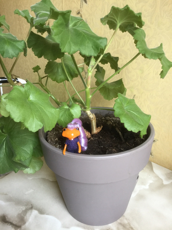 Маленькие лягушата Wonder Frog и цветы (фото 8)