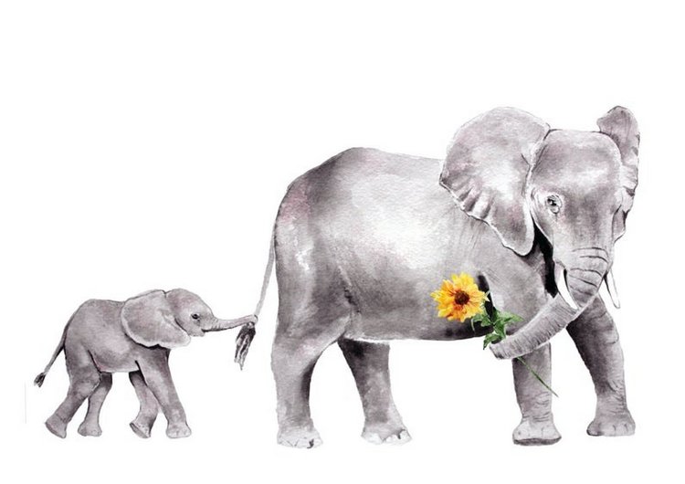 BrigitteMayArt - Иллюстрированная флора и фауна by Brigitte May