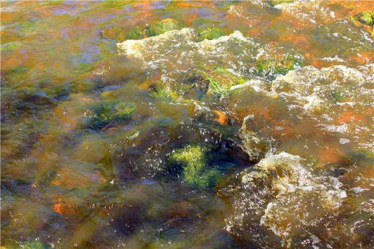 Затерянный Мир — Красивая природа и цветы: фото пейзажей