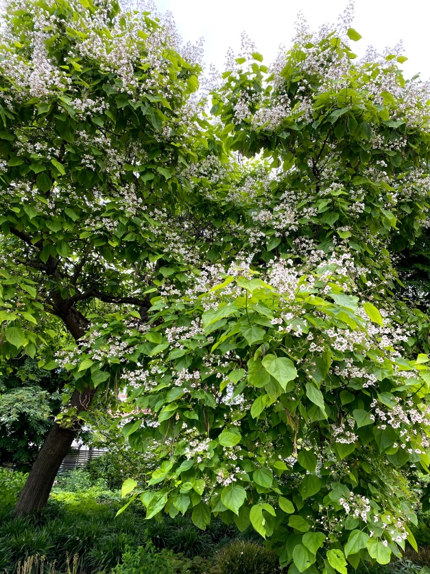Галопом по Европам... 2 Часть