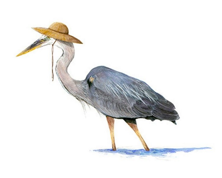 Birdswithhats - Авторские зарисовки "Птицы в шляпах" by Matt Decker (фото 8)