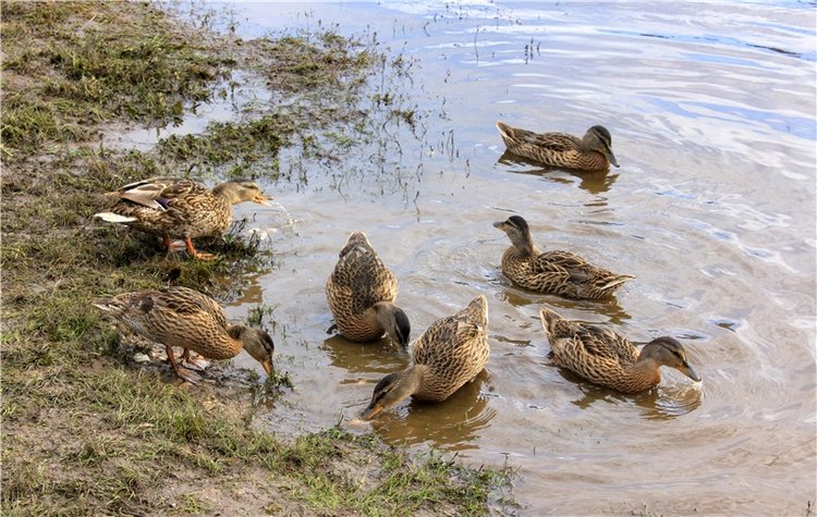 Июльское путешествие в Старицу