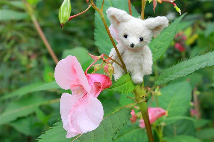 Сентябрьское путешествие в Старицу, четвёртая часть