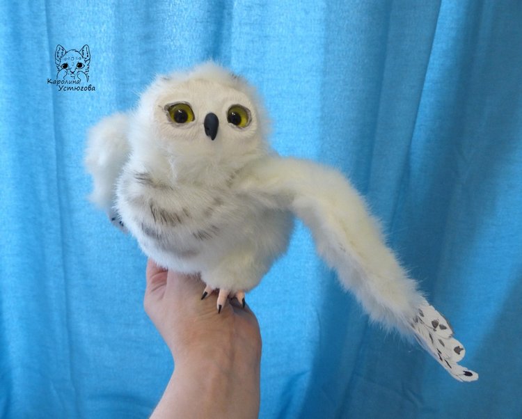 Полярные совы. Стремящиеся в полет (фото 10)