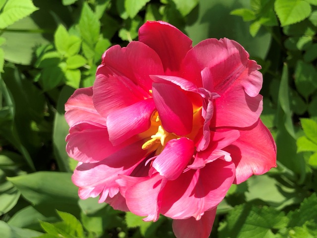 Тони Старк: приключения без брони. Был месяц май, половина вторая