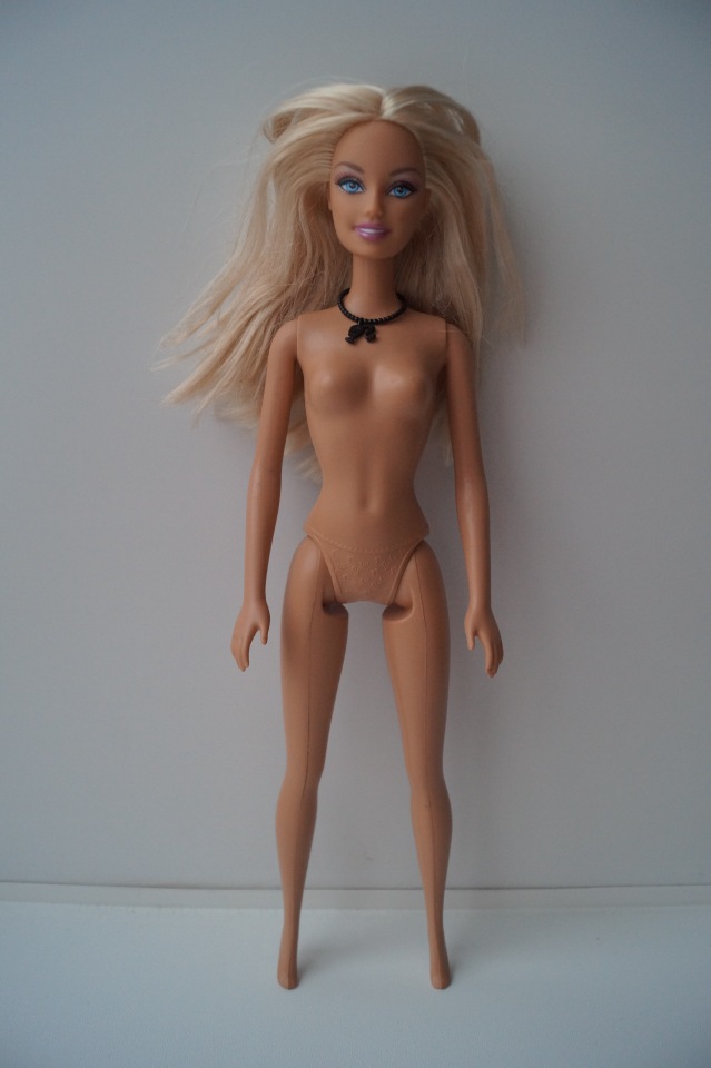 Четвёртая выписка декабря. Лечение тазобедренных суставов Барби. Четверо новогодних героев поправили своё здоровье.