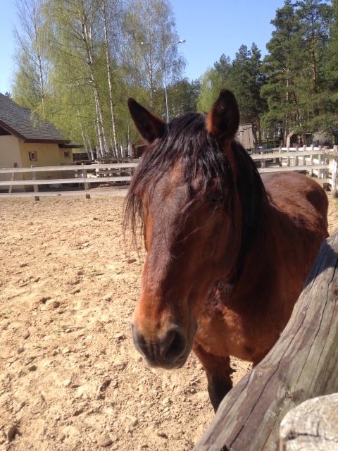 Как мы побывали в Некотором царстве ... с Mui-chan