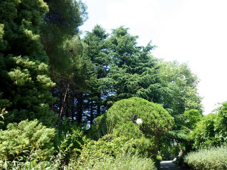 Краснодарский Край, Сочи-Адлер, Санаторий «Южное Взморье»