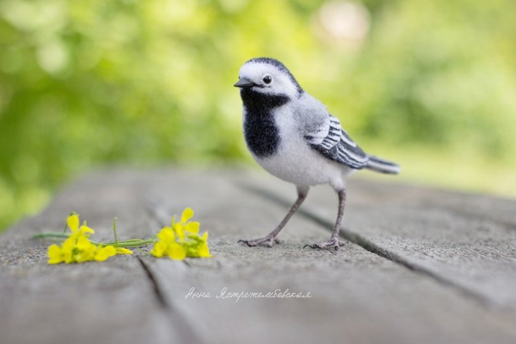 Белая трясогузка — Валяные игрушки из шерсти: сухое валяние (фото 4)