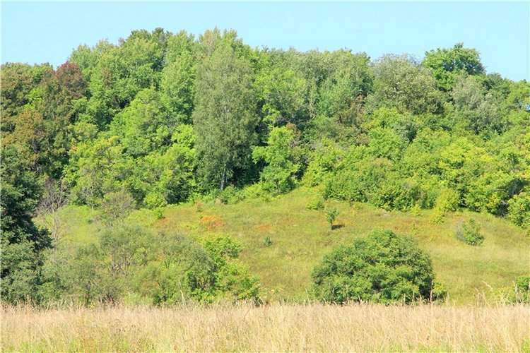 Старицкая Швейцария. Путешествие Мии. Minifee Miyu FairlyLand | Бэйбики Старицкая Швейцария. Путешествие Мии. Minifee Miyu FairlyLand