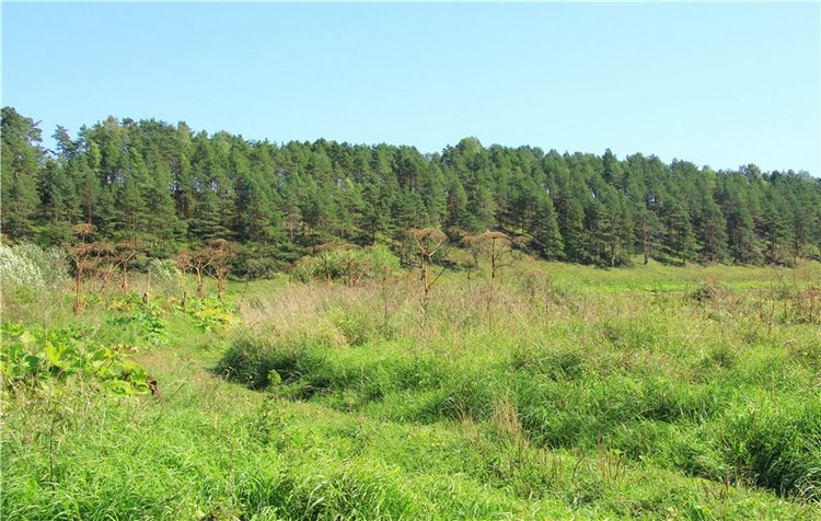 Старицкая Швейцария. Путешествие Мии. Minifee Miyu FairlyLand | Бэйбики Старицкая Швейцария. Путешествие Мии. Minifee Miyu FairlyLand