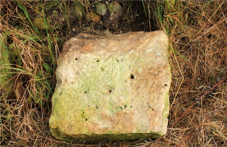 Осеннее путешествие с Мишей. Zwergnase Mischa | Бэйбики Осеннее путешествие с Мишей. Zwergnase Mischa