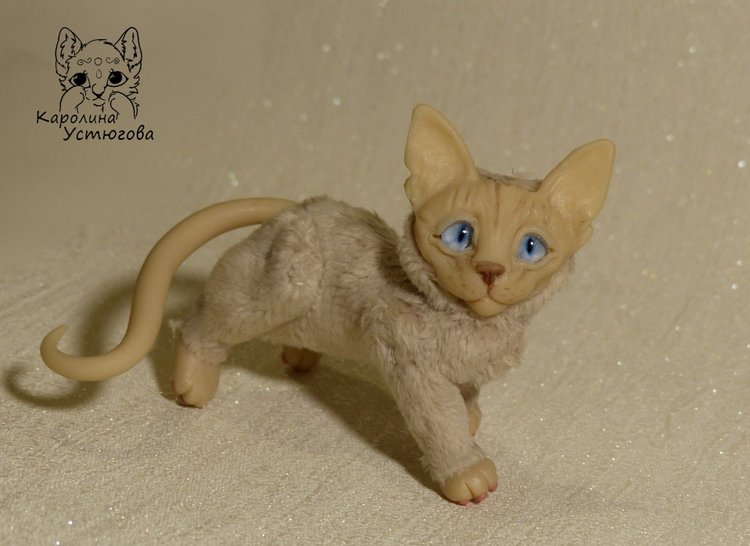 Два миниатюрных котика Сфинкса