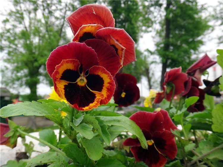 Милый мой город. Прогулка по Твери, заключительная часть