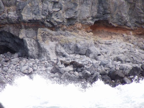 Увлекательное путешествие по Новой Зеландии