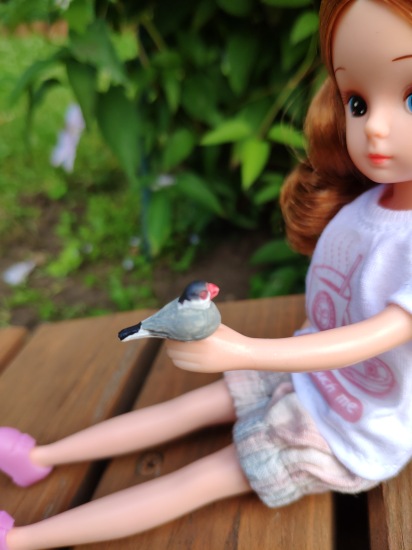 Прогулки с Ликкой — Куклы Takara Tomy (Такара): Licca (Ликка)