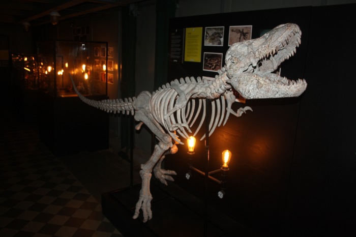 Петербург. Музей НЕправды (18+). Часть 2