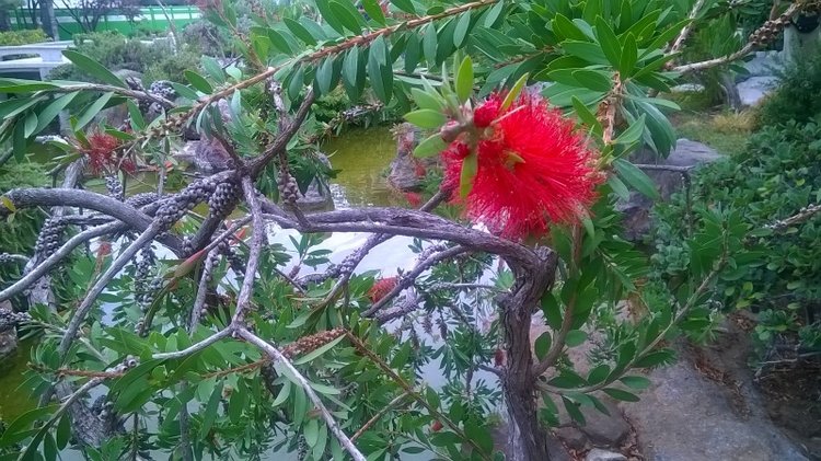 Тур по Европе или долгожданный подарок самой себе. Часть 11