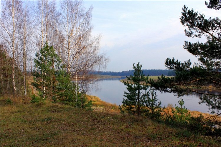 Гришутка — Винтажные куклы ГДР (Немки): Бигги