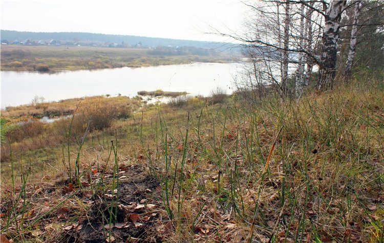 Гришутка — Винтажные куклы ГДР (Немки): Бигги