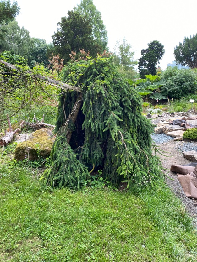 Галопом по Европам... 2 Часть