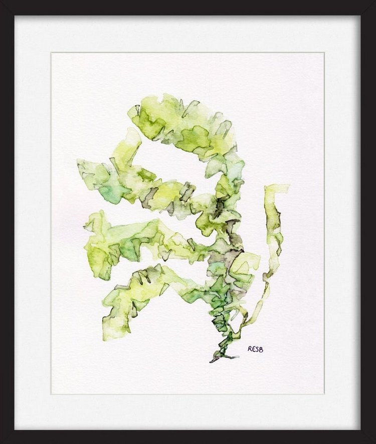 TheColorfulCatStudio - Иллюстрации подводного мира by Rachel Byler