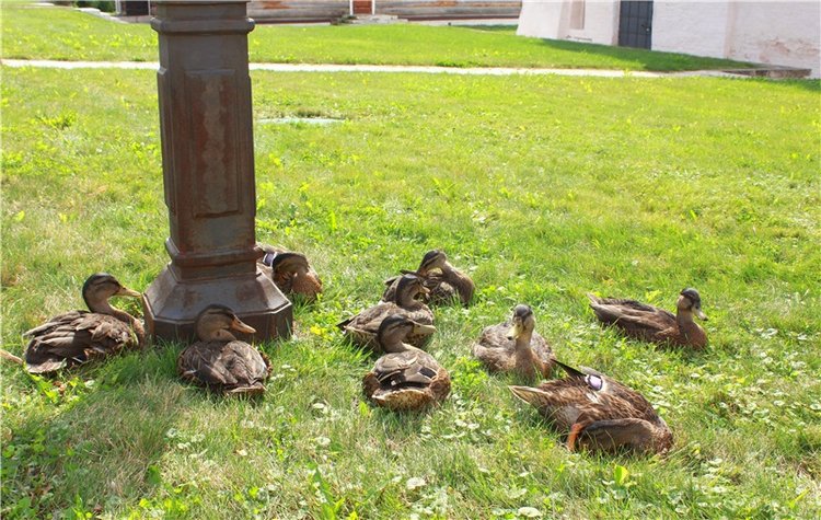 Сентябрьское путешествие в Старицу. Старицкий Свято-Успенский Монастырь