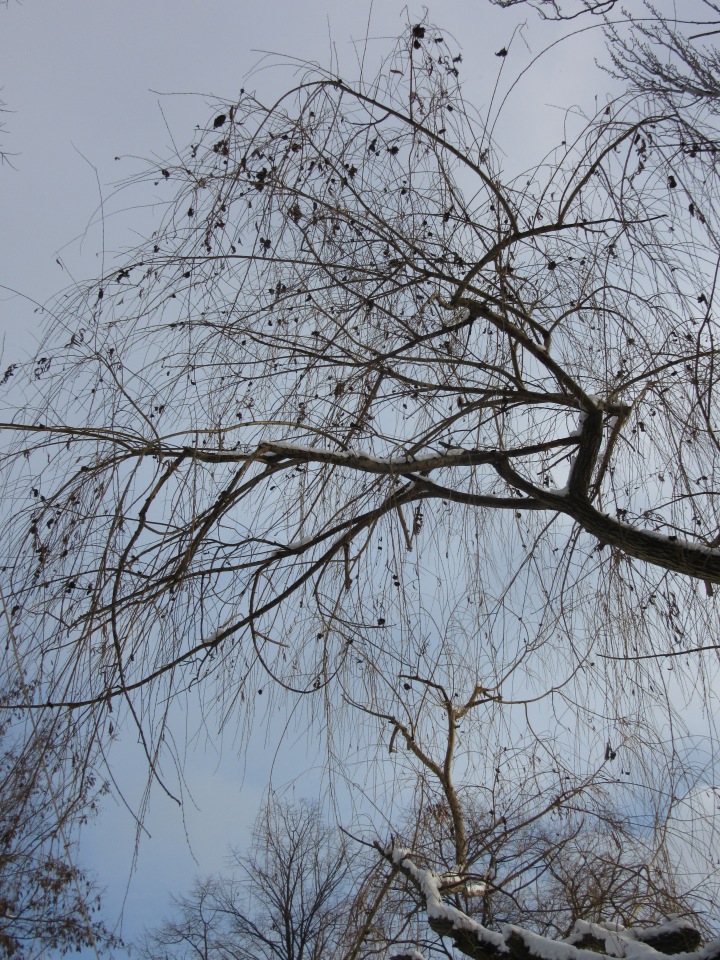 Зимнее катание Хелены — Куклы Takara Tomy (Такара): Licca (Ликка) (фото 7)