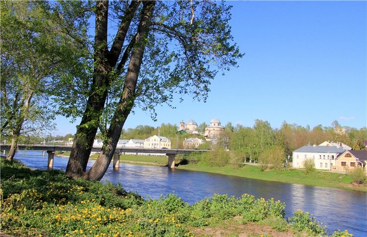 Одуванчиковая нежность, прогулка по Торжку