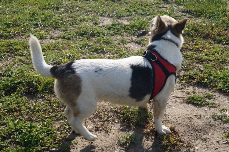 За хорошими эмоциями с семьёй на речку