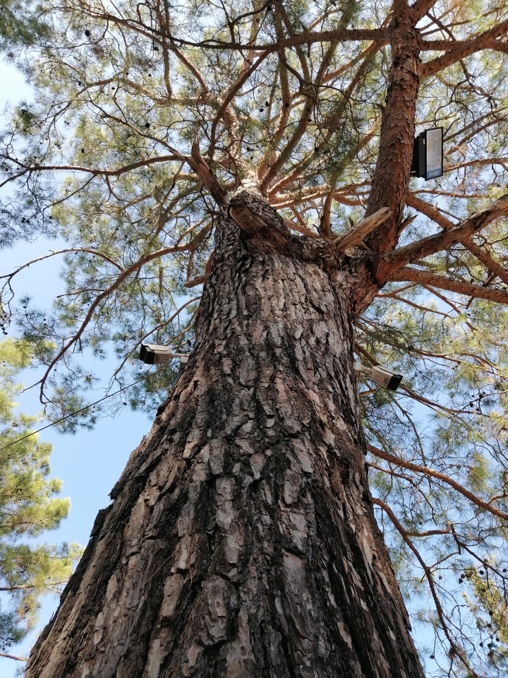 По тропинкам воспоминаний. Часть 1