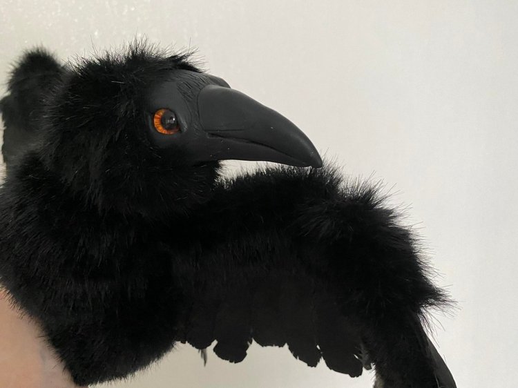 Ворон — Игрушки в смешанной технике (мех и глина): Арт