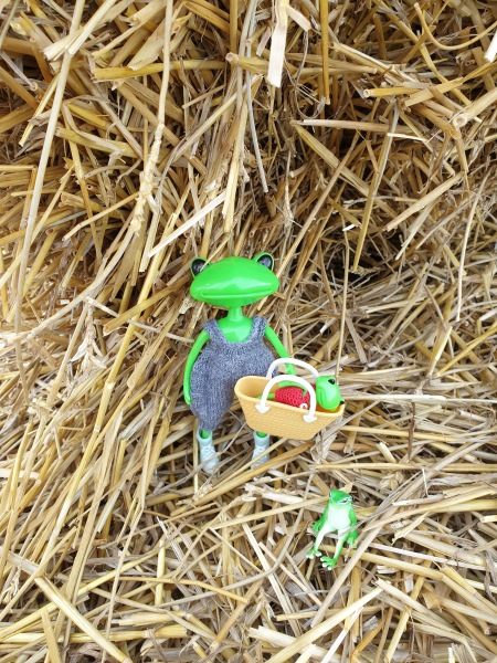 Лягушка Ванда и все-все-все