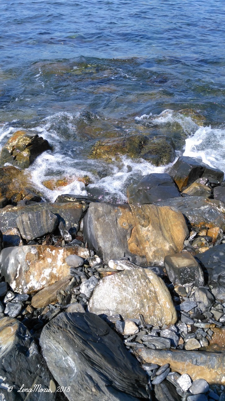 Kidz' тур. Юлино лето — Куклы Kidz'n'Cats (Соня Хартман): шарнирные 46 см