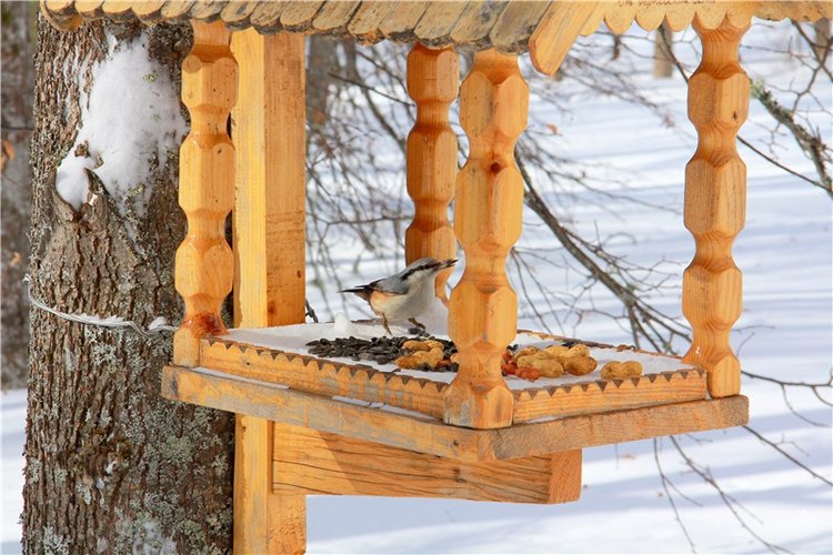 Снежный Март — Туризм и путешествия: фотоотчеты из поездок