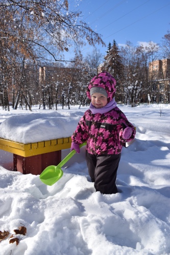 Милый... милый Хатико — Домашние фото авторских игрушек: Тедди
