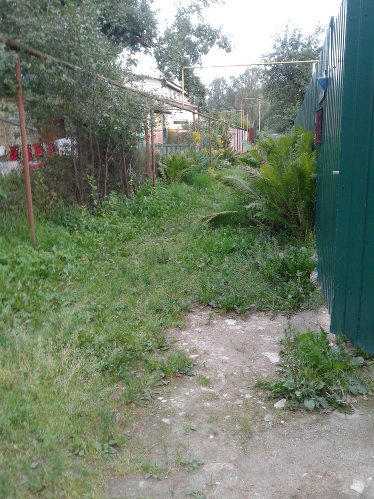 Просто Макс — Кукольные фотоистории и сериалы: комиксы (фото 3)