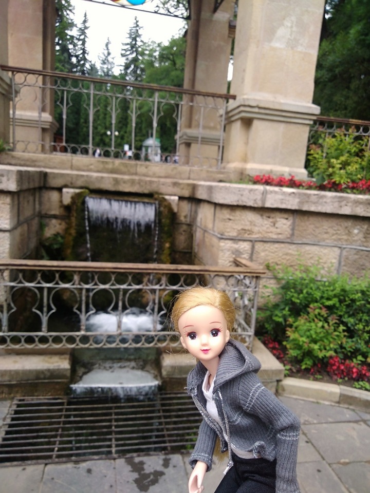 Возвращение Хелены в Кисловодск: опять за своё