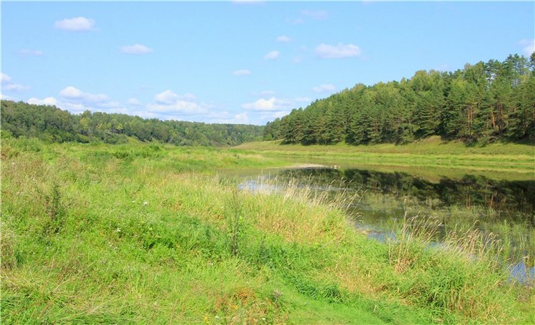 Старицкая Швейцария. Путешествие с Сашей, продолжение. Уникальная кукла от Сильвии Наттерер
