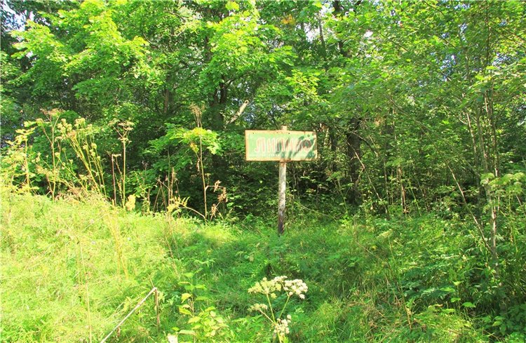 Старицкая Швейцария. Путешествие Мии. Minifee Miyu FairlyLand | Бэйбики Старицкая Швейцария. Путешествие Мии. Minifee Miyu FairlyLand