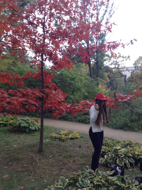 Аптекарский огород сегодня. ч.5. Грибной фестиваль